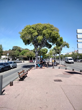 Plage du Prado